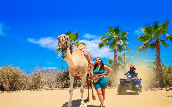Camel ride experience in Los Cabos