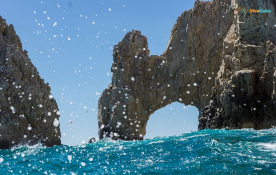 Boat tour to the Arch of Cabo San Lucas